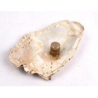 Oyster cache container