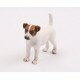 Trackable Animal - Jack Russel