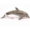 Trackable Animal - Delfin