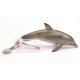 Trackable Animal - Dolphin