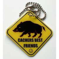 Cachers best friends Boar