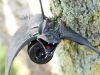 Fledermaus Geocaching Versteck