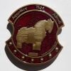 Troy Geocoin - Antik Bronze mit Rot